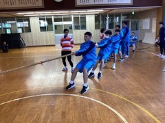 204-s-1.jpg
